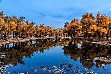 云顶之弈S9.5尼菈阵容搭配，S9.5尼菈阵容装备站位攻略